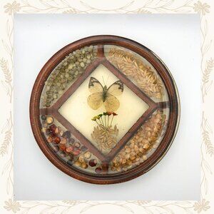 Vintage Lucite Trivet – Butterfly & Botanical Design